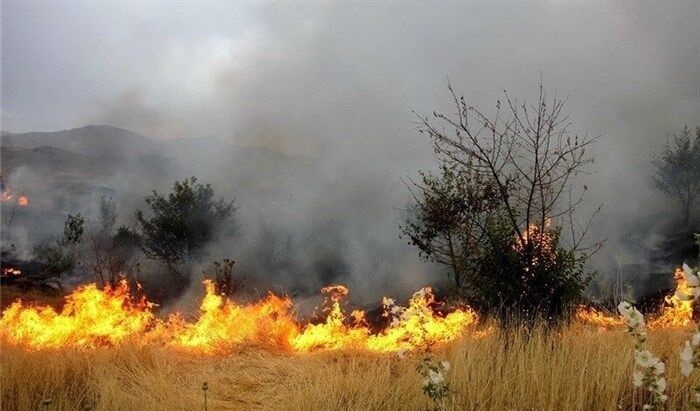 پلنگ دره طعمه حریق شد/ آتش‌سوزی گسترده مراتع علی‌آباد نیزار