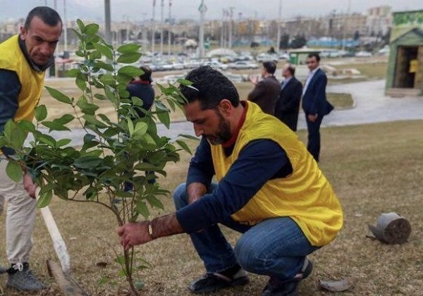 آبادانی ها ۳۰۰ اصل نهال در ساحل بهمنشیر کاشتند