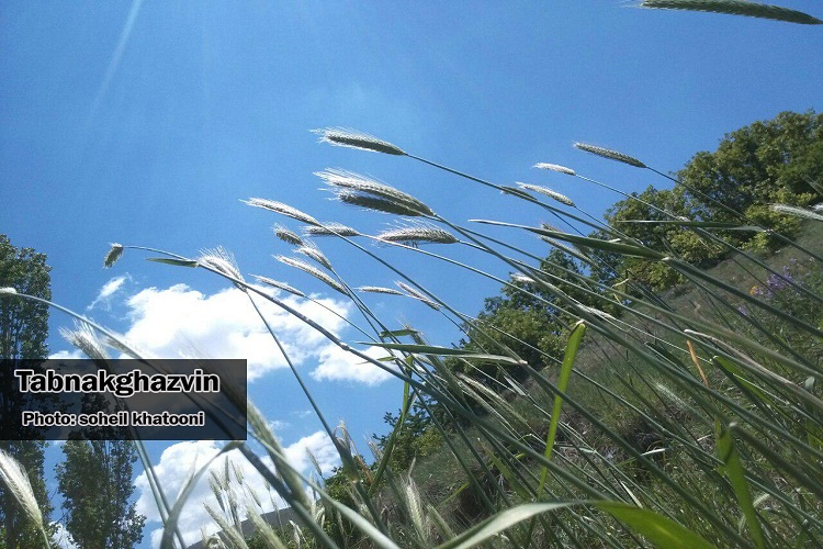 بهار در آغوش طبیعت + گزارش تصویری
