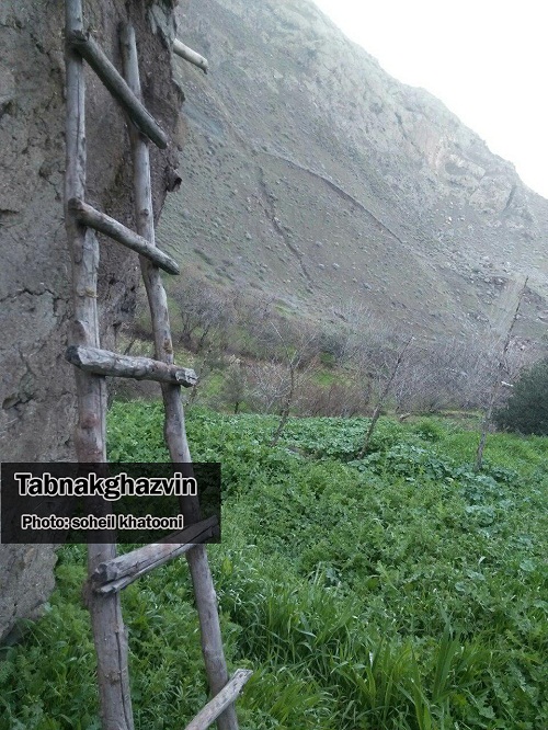 بهار در آغوش طبیعت + گزارش تصویری