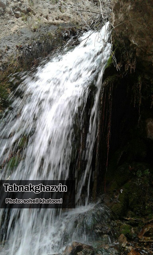 بهار در آغوش طبیعت + گزارش تصویری