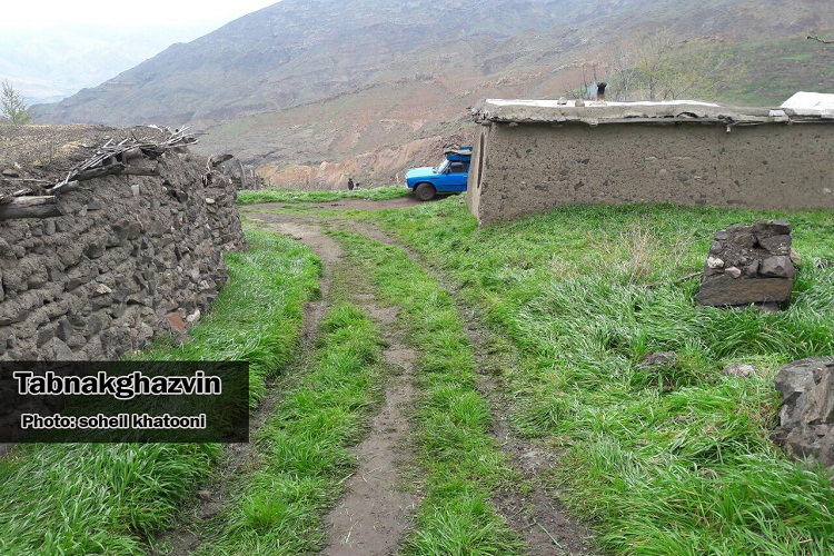 بهار در آغوش طبیعت + گزارش تصویری