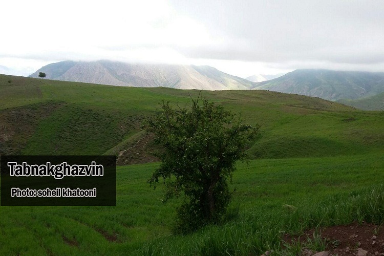 بهار در آغوش طبیعت + گزارش تصویری