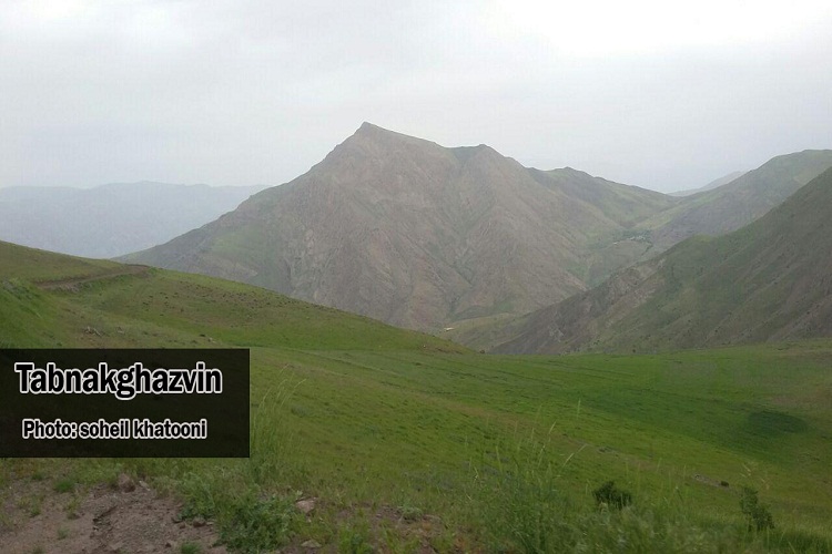 بهار در آغوش طبیعت + گزارش تصویری