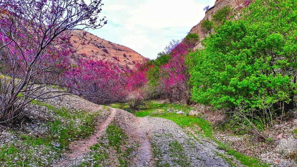 طبیعت گردی اطراف مشهد