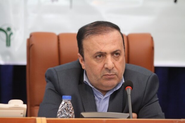 چرخه ناقص تولید محصول در استان باید تکمیل شود