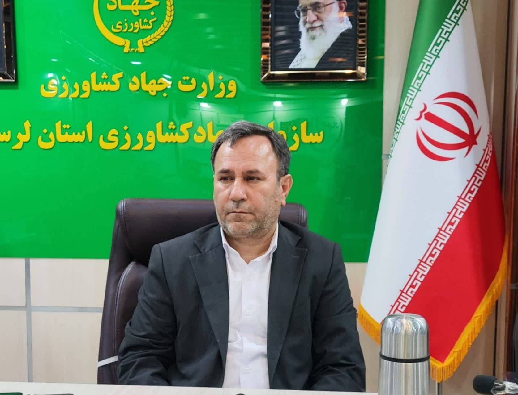 خرمای ماه رمضان در لرستان ۱۵ درصد ارزانتر عرضه میشود خرمای ماه رمضان در لرستان ۱۵ درصد ارزانتر عرضه میشود