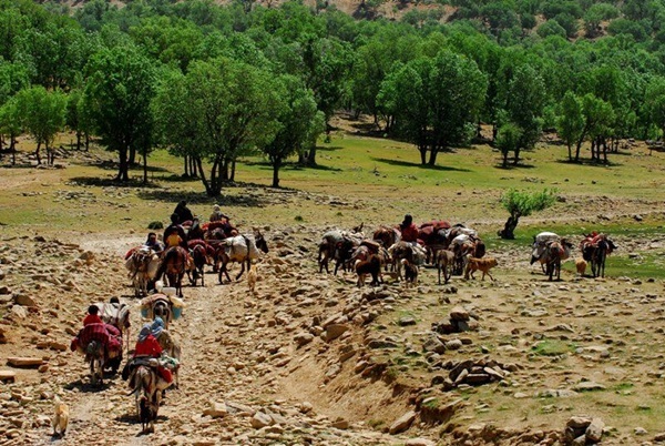 پروژه جاده مواصلاتی خیرک، بهدلایل نامعلوم متوقف شده است/ بیتوجهی به مشکل ۴۰ ساله عشایر استانهای بوشهر و فارس! پروژه جاده مواصلاتی خیرک، بهدلایل نامعلوم متوقف شده است/ بیتوجهی به مشکل ۴۰ ساله عشایر استانهای بوشهر و فارس!