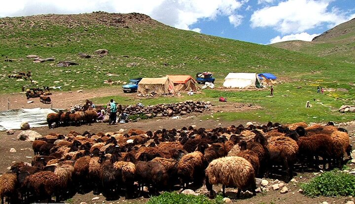 همایش عشایر استان بوشهر با هدف