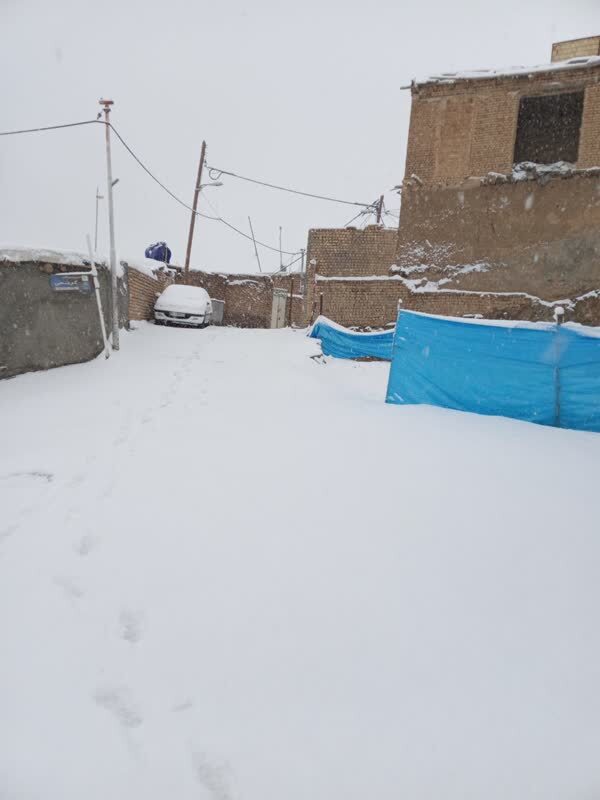 عکس / برف در روستای کرمجگان قم