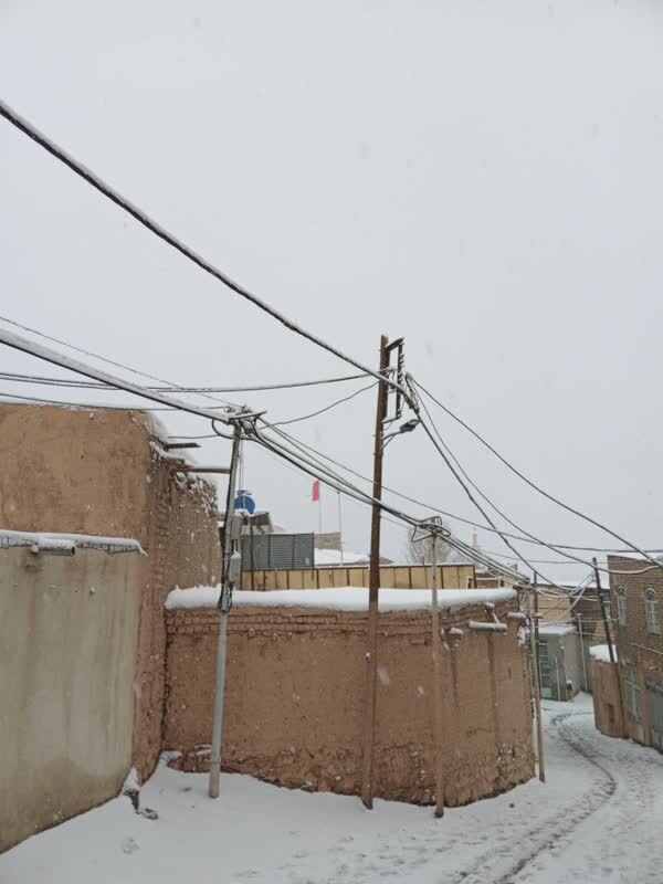 عکس / برف در روستای کرمجگان قم