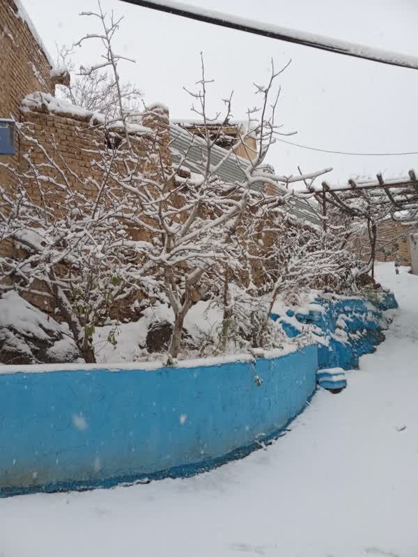 عکس / برف در روستای کرمجگان قم