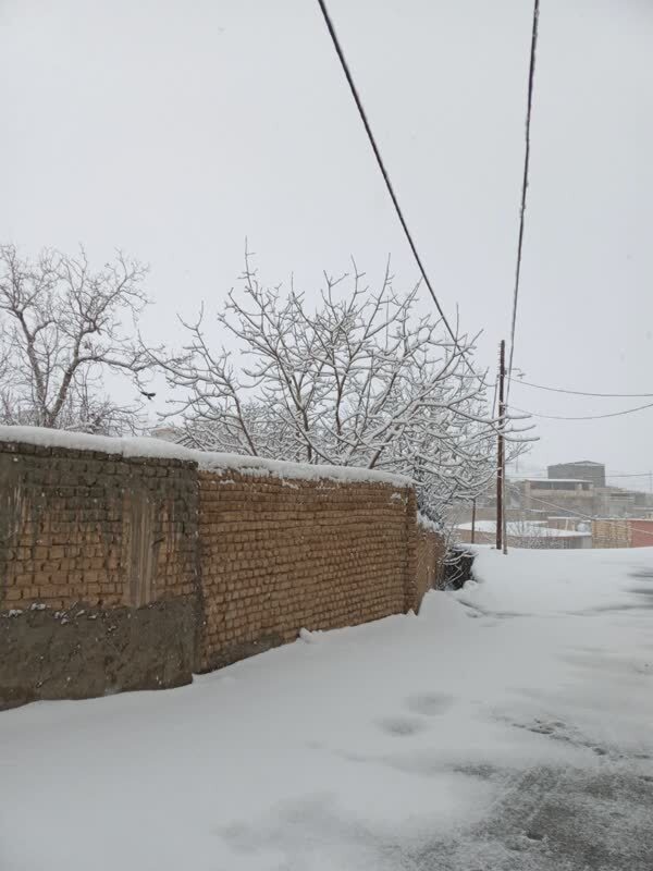 عکس / برف در روستای کرمجگان قم