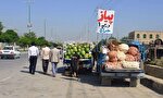 شناسایی ۵۲ نقطه برای جمع‌آوری بساط‌گستران در شیراز/ دستفروشان نیازمند می‌مانند!