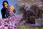 وقتی کم‌آبی فرصت می‌شود؛ طلای سرخ راهی برای عبور از بحران کم‌آبی است