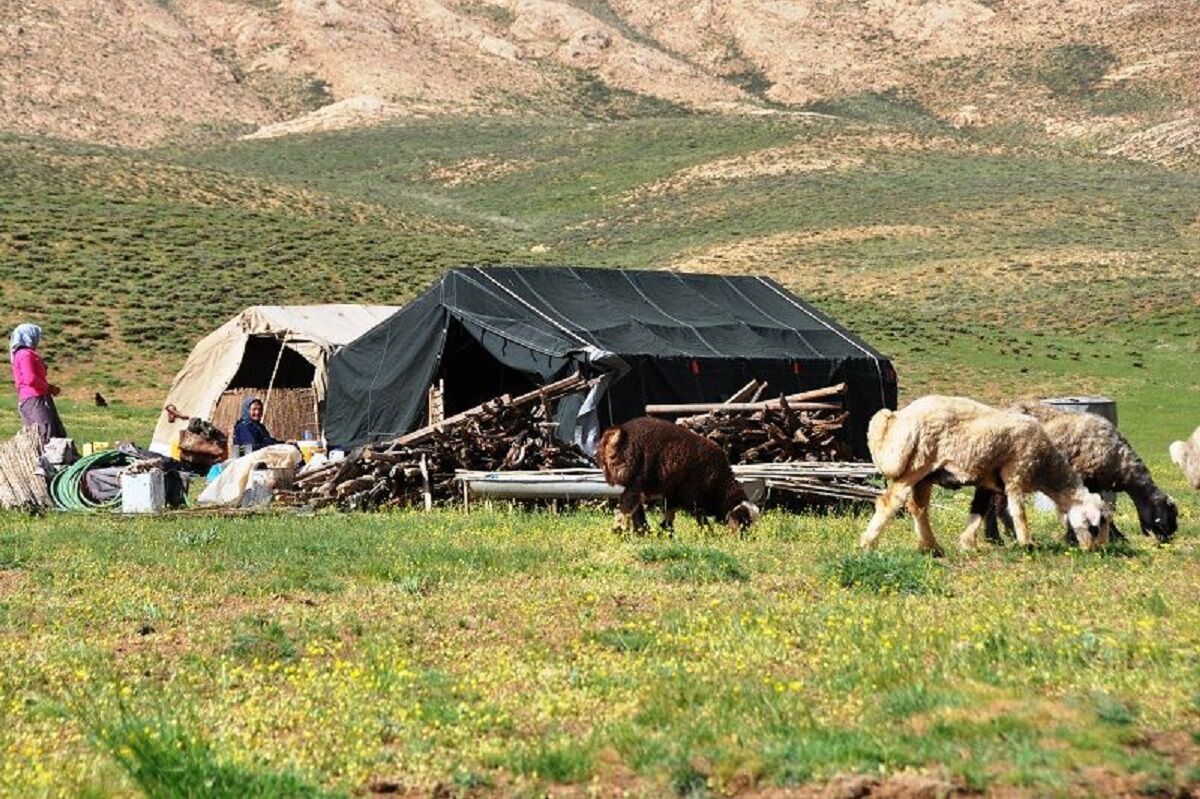 زیرساختهای آب و انرژی عشایر شاهرود در مسیر تقویت قرار گرفت زیرساختهای آب و انرژی عشایر شاهرود در مسیر تقویت قرار گرفت