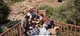 اردوی جهادی دامپزشکی کامیاران در پالنگان و کوره‌دره سفلی/ بیش از 4 هزار رأس دام واکسیناسیون شدند