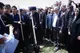 ۵۰۰ اصله نهال در استان اردبیل غرس شد