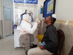 ۴۱ درصد نمونهگیری کرونا در اسفراین مثبت شد